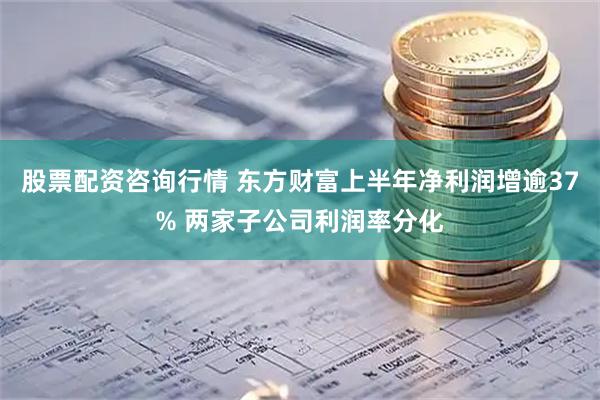 股票配资咨询行情 东方财富上半年净利润增逾37% 两家子公司利润率分化