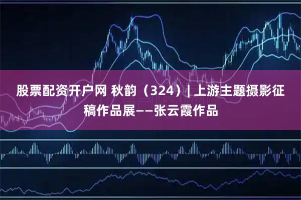 股票配资开户网 秋韵(324)| 上游主题摄影征稿作品展——张云霞作品