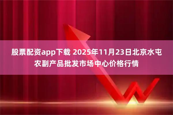 股票配资app下载 2025年11月23日北京水屯农副产品批发市场中心价格行情