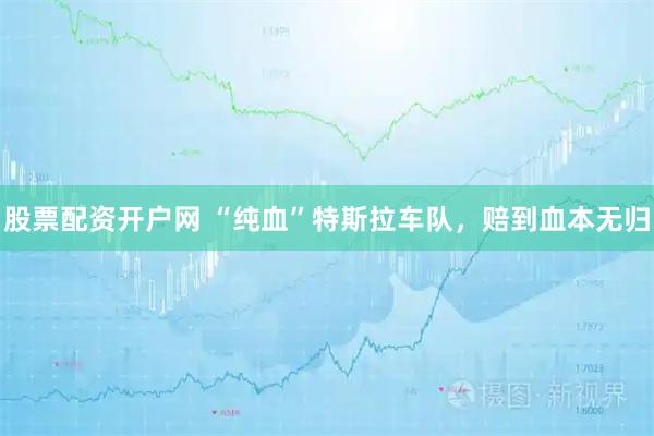 股票配资开户网 “纯血”特斯拉车队，赔到血本无归